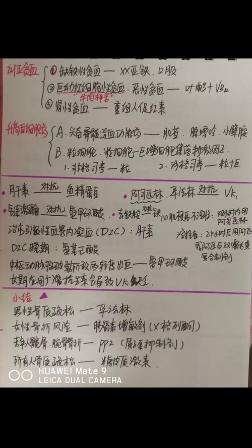 临床药学手写笔记