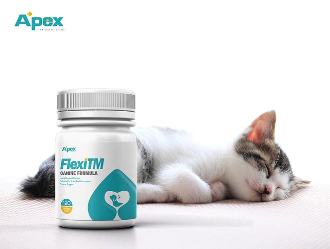 泛泰克宠物药品|平面|包装|图语设计 - 原创作品