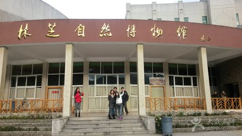 林芝自然博物馆20141017_083824图片 - 第4张