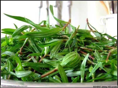 鸭嘴菜