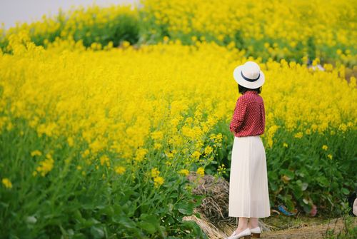 把春天带回家