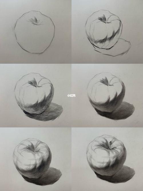 超详细素描静物苹果画法的步骤分析_素描_投影_绘画_高光_知识_艺术