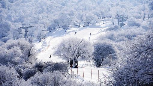 【玩转九鼎山太子岭】尽情滑雪九鼎山 特色古羌寨 品质二日游 (含