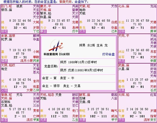 紫府同宫,命主禄存,身主文昌