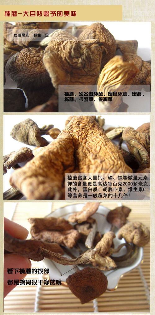 东北野生榛蘑(49元/斤)