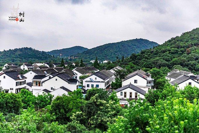 树山生态村图片