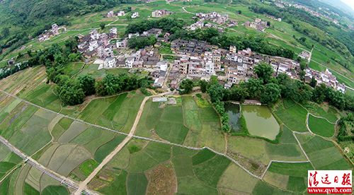 阳山县太平镇白花村中心小组,整合村中分布零散的土地,由原来的78块田