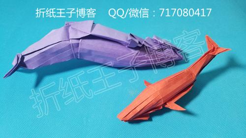 折纸王子教你折纸神谷哲史的蓝鲸鱼