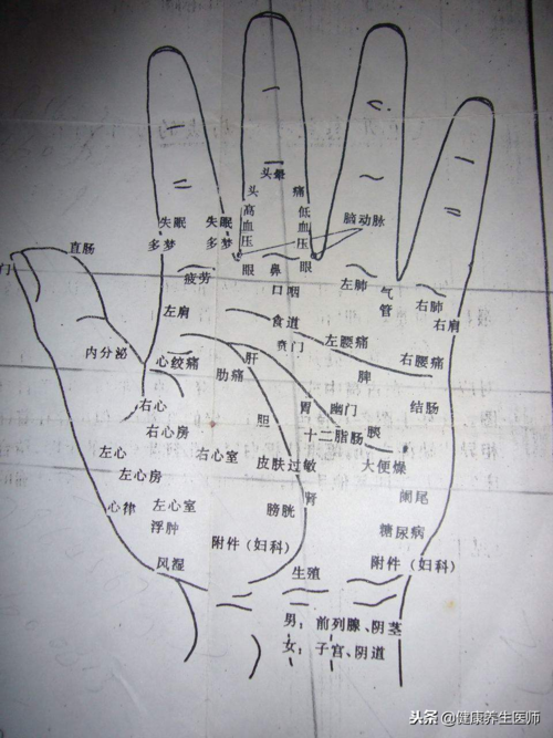 掌纹的秘密全图解免费手相测试扫一扫