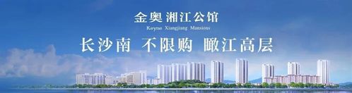 金奥湘江公馆返乡置业首要选择!湘江畔,地铁口,不限购!