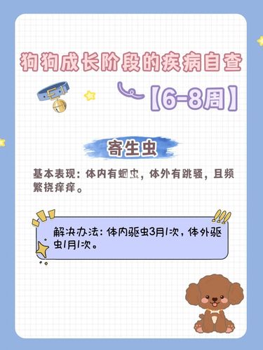 新手养狗指南78狗狗98成长阶段的疾病自查_新手_狗狗_肠道_发烧