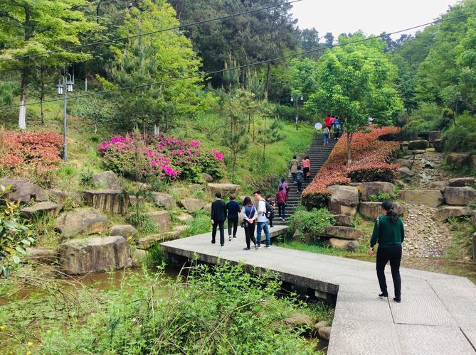 安吉鲁家村和凤凰山2019年4月20日