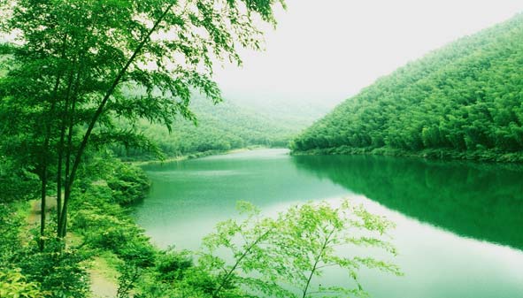 南山竹海为什么这么叫