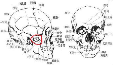 为什么咀嚼东西的时候右脸骨骼疼痛?