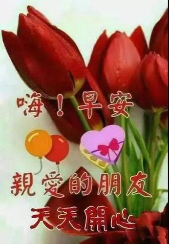 大家早上好表情图 晚上好表情动画 祝福语问候语精选