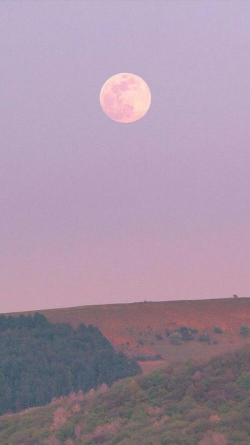 我很记仇 还超级难哄.