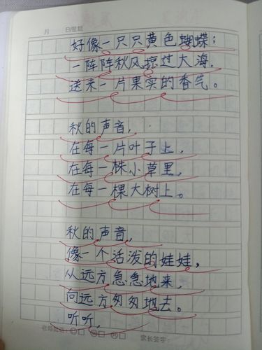 三年级小练笔