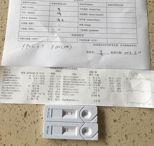 发烧,精神也挺好,白细胞偏高,淋巴细胞也偏高,可是测纸测出猫冠跟猫瘟