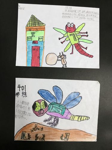 《昆虫记》师生共读——绘本创作 一"画"一世界