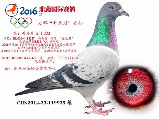 >> 查看拍卖商品