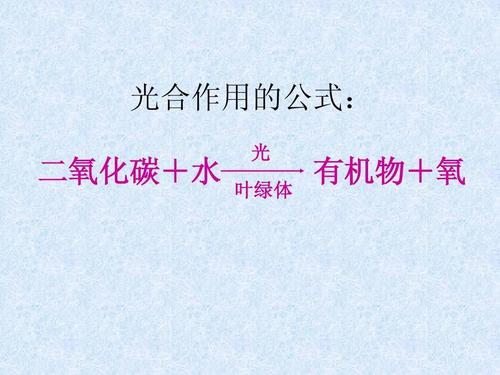 光合作用的公式: 二氧化碳 水 光 叶绿体 有机物 氧