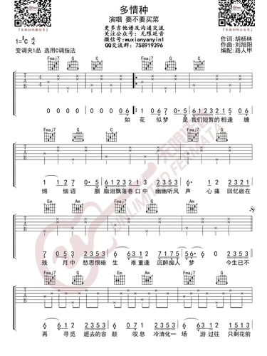 《多情种》吉他谱 要不要买菜