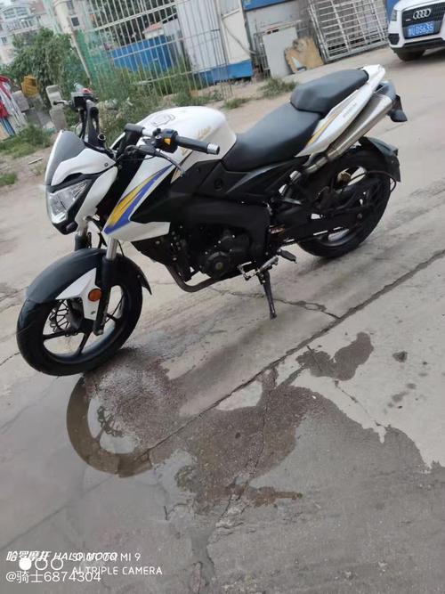 宝雕牌bd2503a