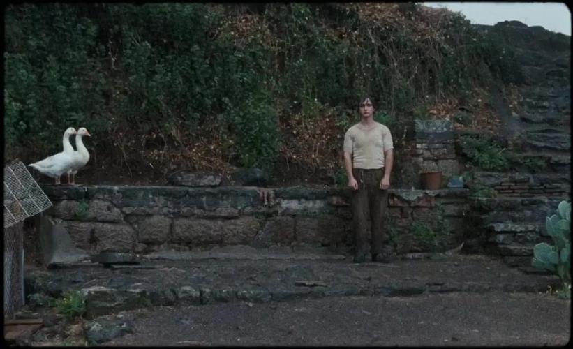 "真言film"landing guy