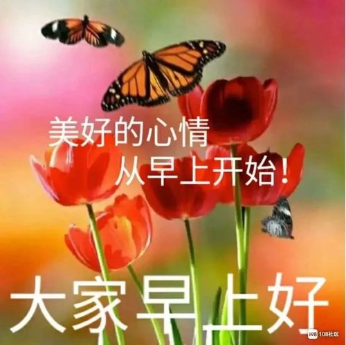 清晨早上好温馨问候祝福语图片 早安问候动漫表情图片