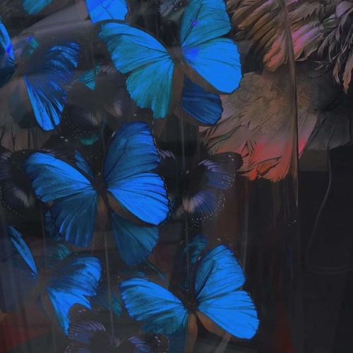 蓝色系之蝴蝶背景图_唯美图片_我要个性网