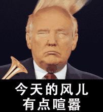 今天的风儿有点喧嚣 - 川普特朗普表情帝_川普_特朗普