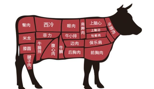 超全的吃牛指南,看完你就是吃牛肉专业户了!