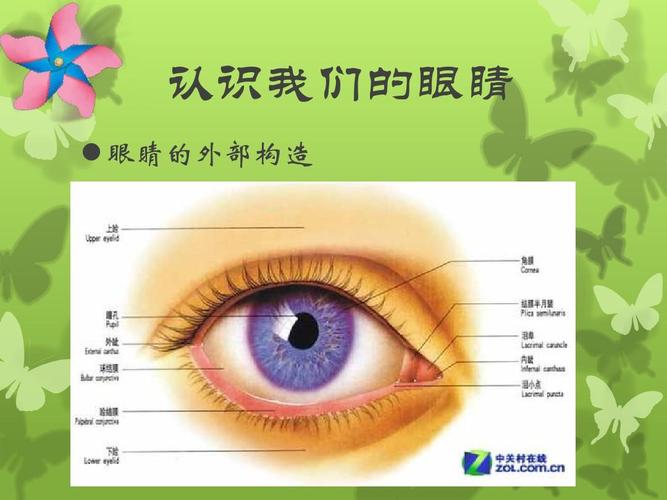 保护眼睛,预防近视——中小学生预防保健课件ppt