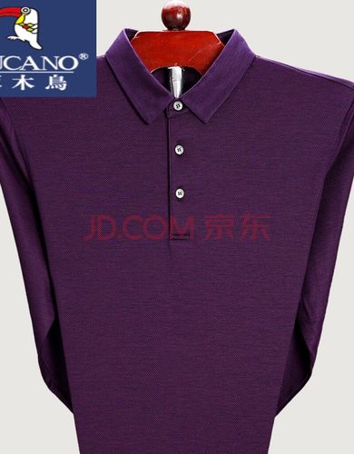 啄木鸟 春夏长袖男士中老年桑蚕丝衣服爸爸装大码宽松冰丝男装体恤衫