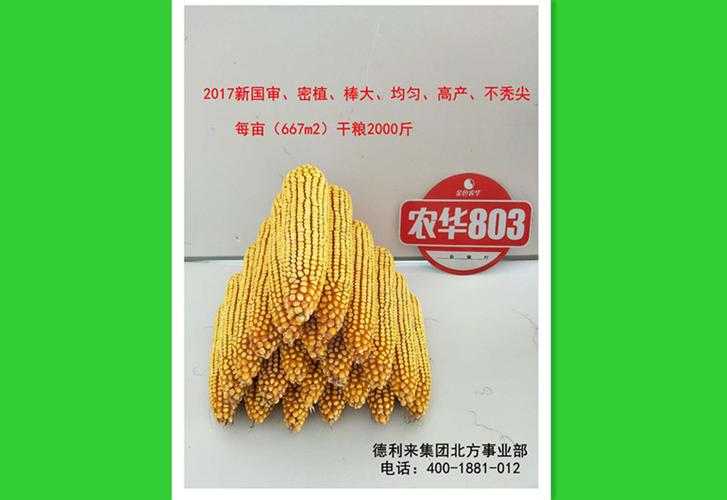 农华 商品生产单位:北京金色农华种业科技股份有限公司 审定编号:国