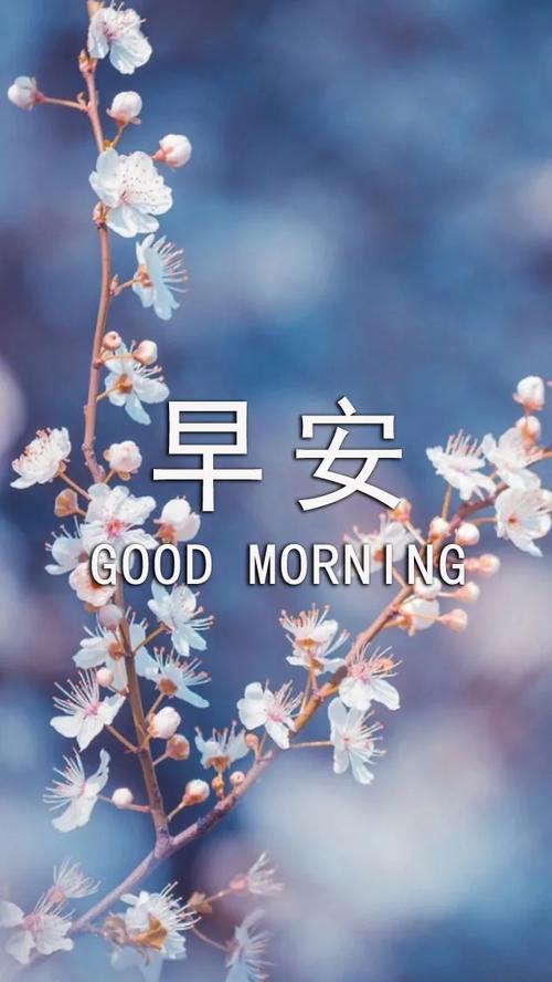 原创早上好动态祝福图片,温馨的早安问候语