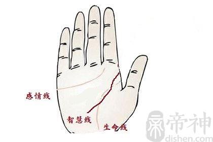 一,手相智慧线图解分析