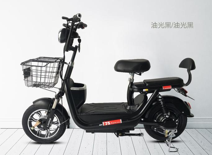 雷致电动车简易款.致舞