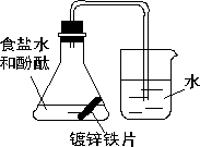 某课外活动小组,将剪下的一块镀锌铁片放入锥形瓶中,并滴入少量食盐水
