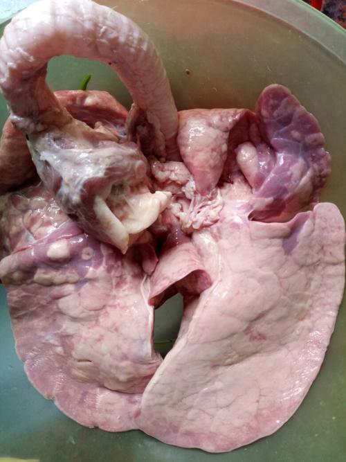 这种猪肺正常吗?能吃吗?花了5元一只买的