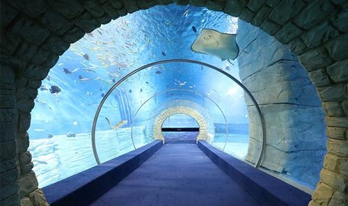 正佳极地海洋世界之海底隧道