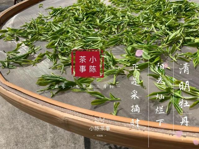 喝茶,不仅养生,还需养心,讲讲春茶中的特殊节气茶清明