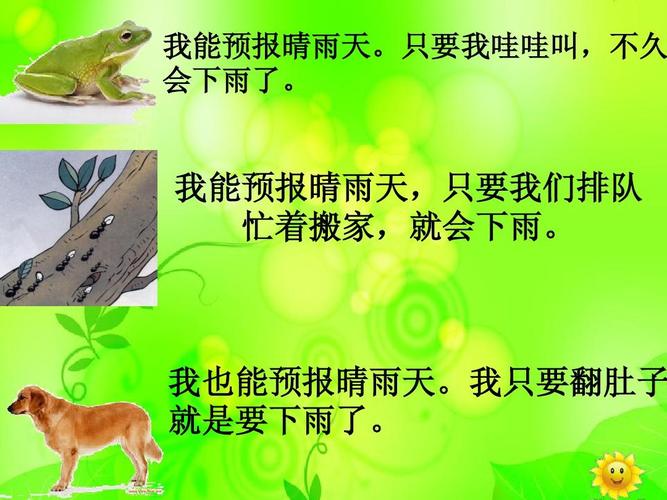 会预报天气的动物ppt