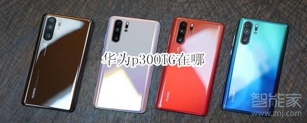 华为p30otg在哪