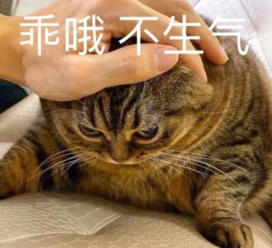 你变坏了