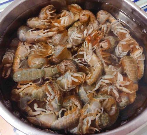 辣爆蝼蛄虾
