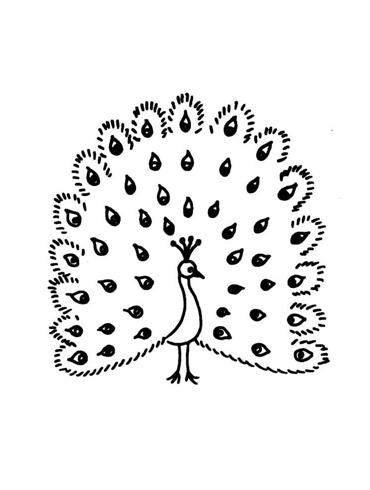 孔雀简笔画图片动物简笔画教你怎么画孔雀