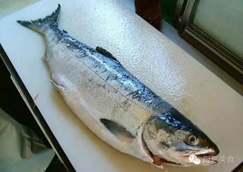 全世界的三文鱼都全了