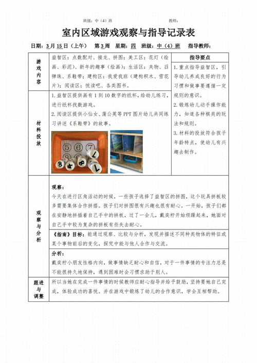 幼儿园大中小班室内区域活动观察与指导记录表(15).pdf 13页