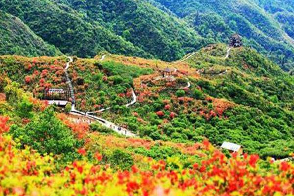 浏阳大围山一日游攻略 2021浏阳大围山妇女节门票免费